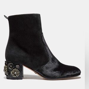 Coach Juliet Velvet Tea Rose Bootie